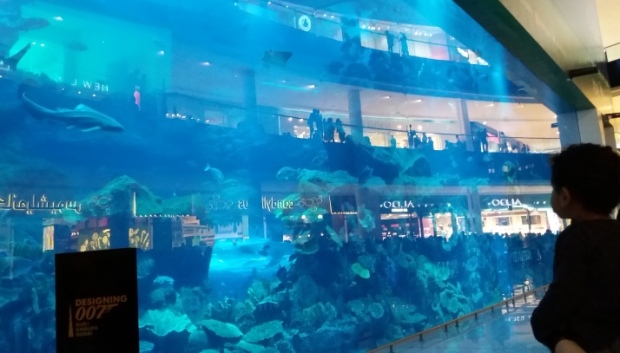 Dubai Mallissa saa hyvin vietetty tunnin ja päivän jos toisenkin. Jos shoppailu ei enää huvita, voi istua alas johonkin lukuisista ravintoloista tai mennä katsomaan akvaarioon kalojen elämää.